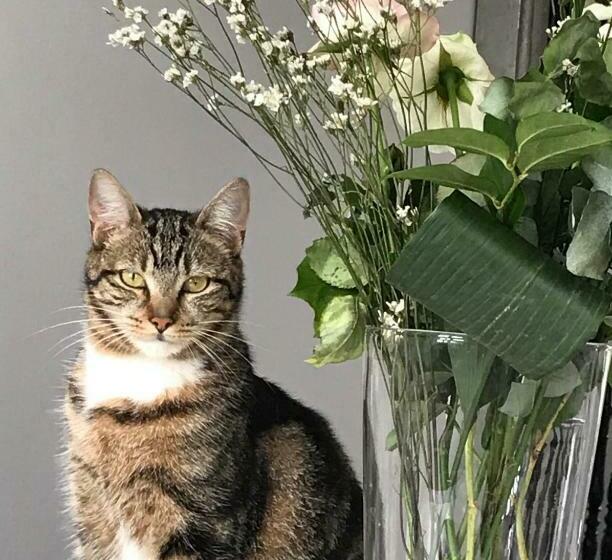 Bed and Breakfast Chambre D  Hôtes Chez Manon Et Hugo