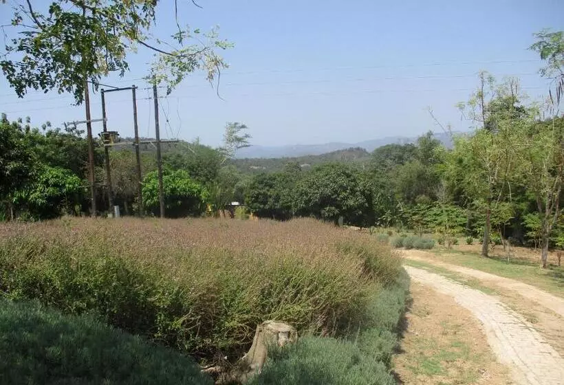 هتل Leopard Tree Retreat