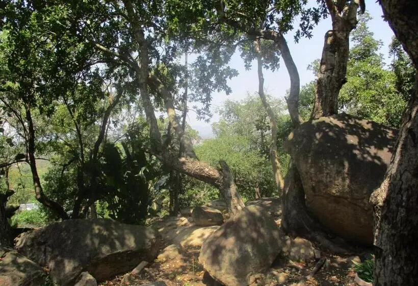هتل Leopard Tree Retreat