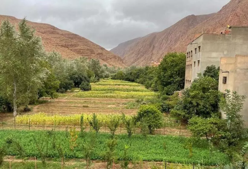 پانسیون Dar Rihana Dadès