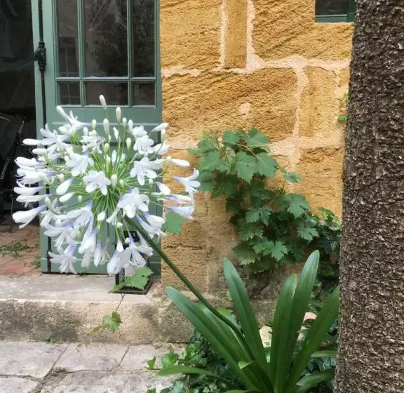 ペンション Maison De Maître Elegia