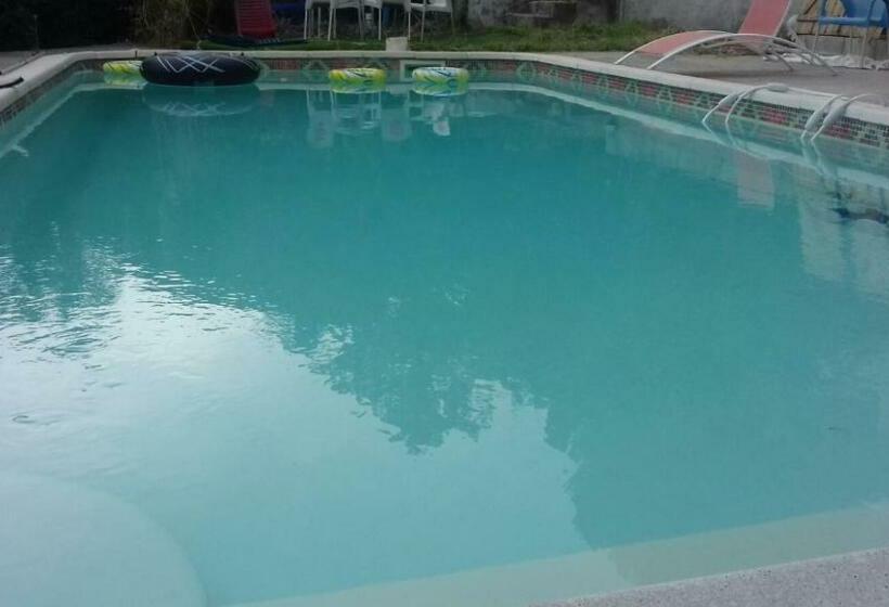 بنسيون Palayson