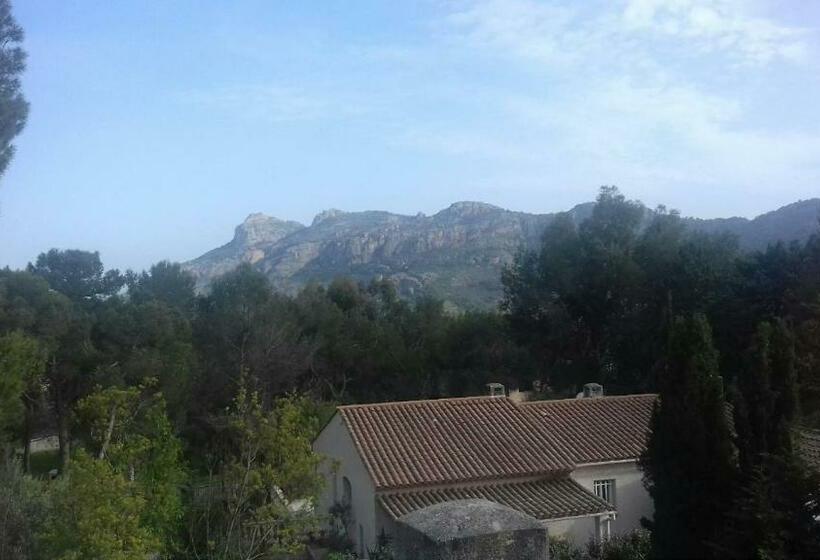 بنسيون Palayson