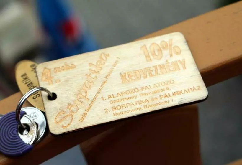 ペンション Sörpatika Vendégház