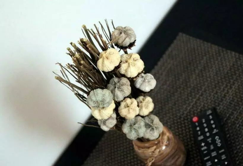 ペンション Sörpatika Vendégház