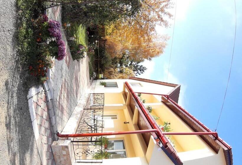 Pensión Steaua Nordului