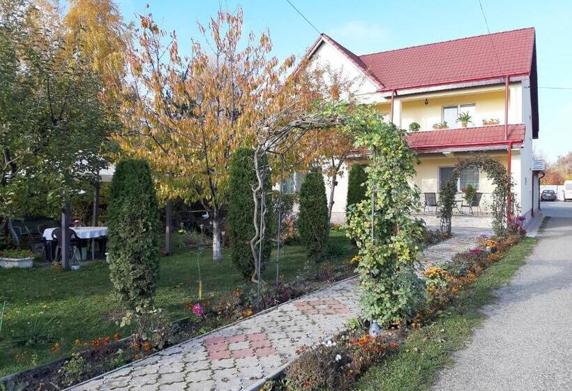 Pensión Steaua Nordului