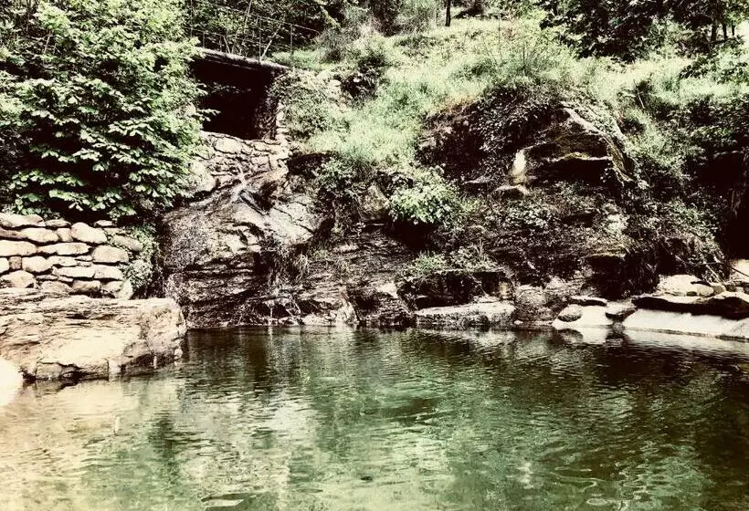 Pippo S Little Resort/2