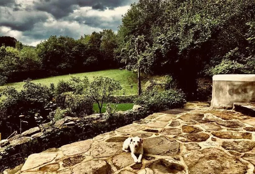 Pippo S Little Resort/2