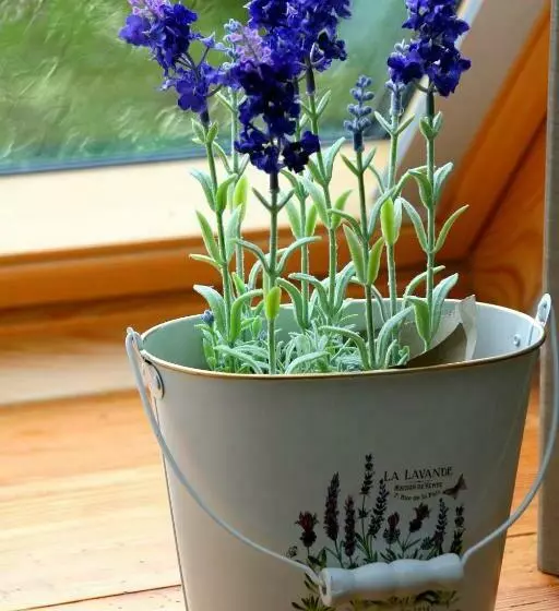 Retkeilymaja Waldvogel Ferienzimmer Klimatisiert