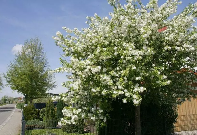 Retkeilymaja Waldvogel Ferienzimmer Klimatisiert