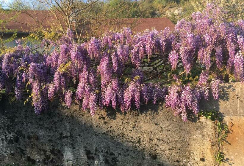 Bed and Breakfast Chambres D Hôtes Des Deux Lacs