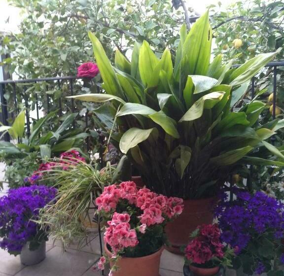 住宿加早餐 El Patio Andalú