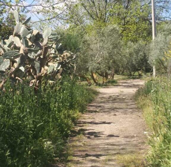 住宿加早餐 El Patio Andalú