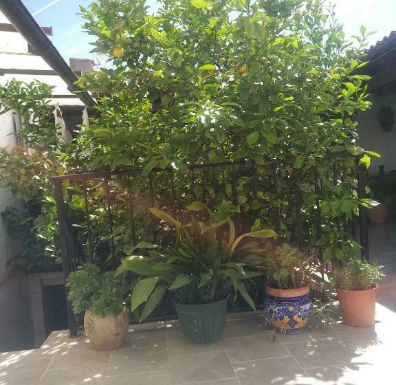 住宿加早餐 El Patio Andalú