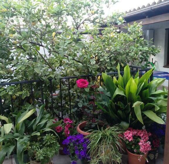 住宿加早餐 El Patio Andalú