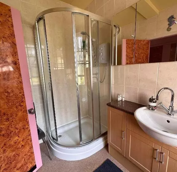 Aamiaismajoitus (B&B) Green Dragon Ludlow