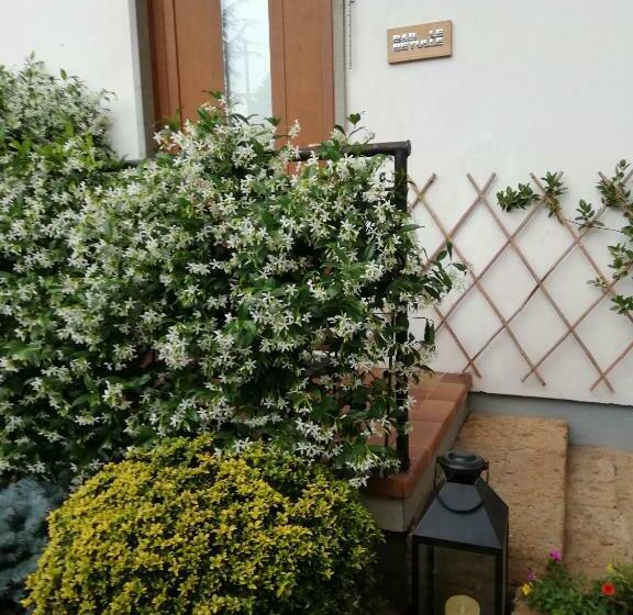 住宿加早餐  Le Betulle