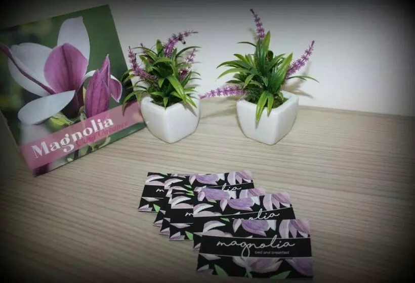 ベッドアンドブレックファースト Magnolia