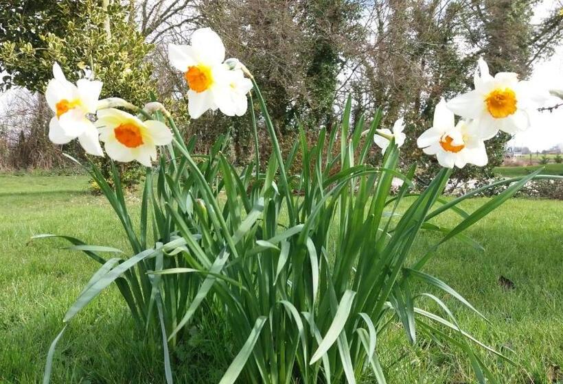 צימר Manoir De La Ville Marie