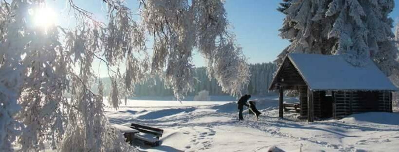 Bed and Breakfast Pension Alois Hennecke