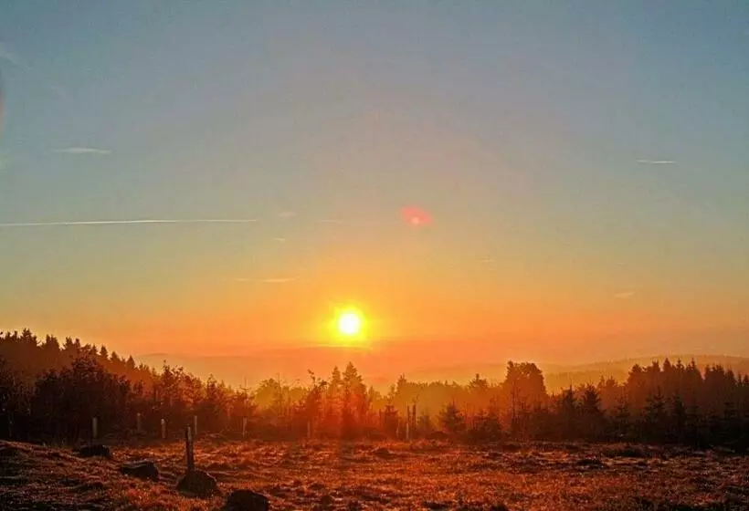 Aamiaismajoitus (B&B) Pension Alois Hennecke