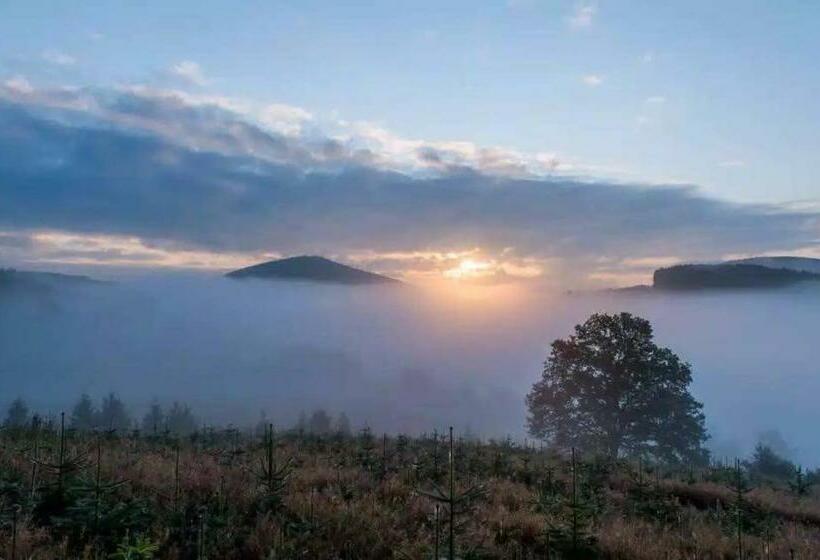 Bed and Breakfast Pension Alois Hennecke