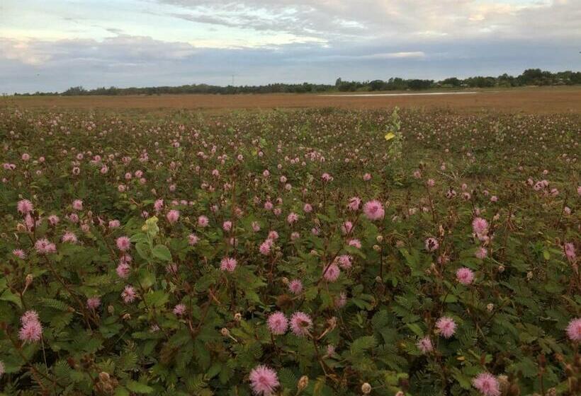 호텔 Cozycomo Khonkhan