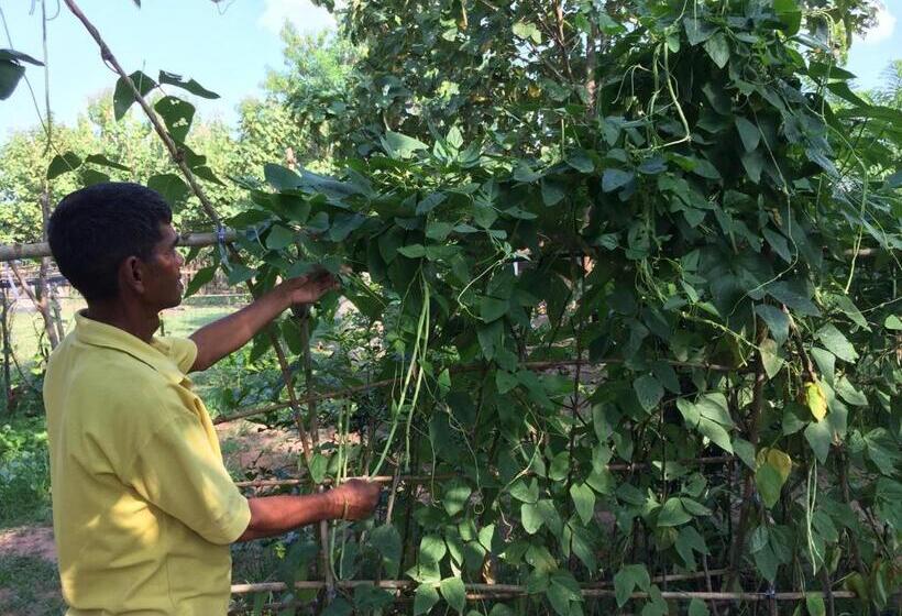 호텔 Cozycomo Khonkhan