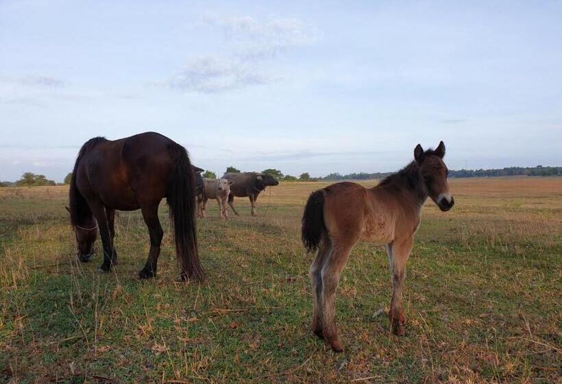 호텔 Cozycomo Khonkhan