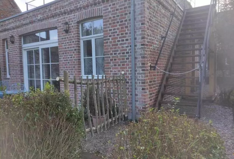 ペンション Manoir Du Kasteelveld