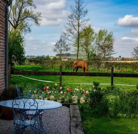 ペンション Manoir Du Kasteelveld