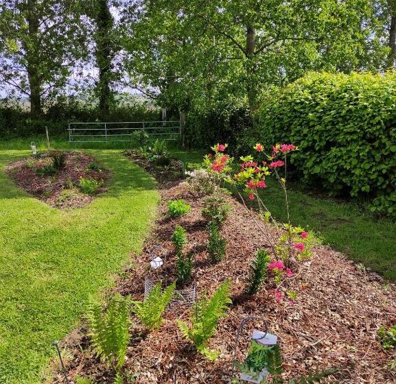 פנסיון Manoir Du Kasteelveld