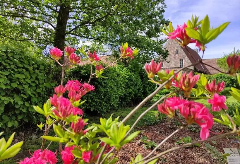 ペンション Manoir Du Kasteelveld