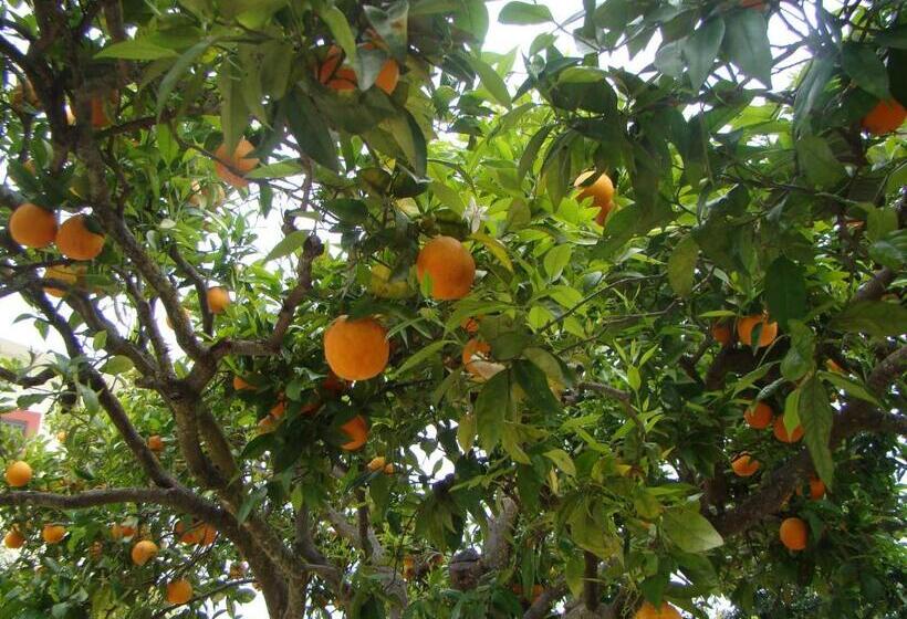 پانسیون Quinta Da Norinha