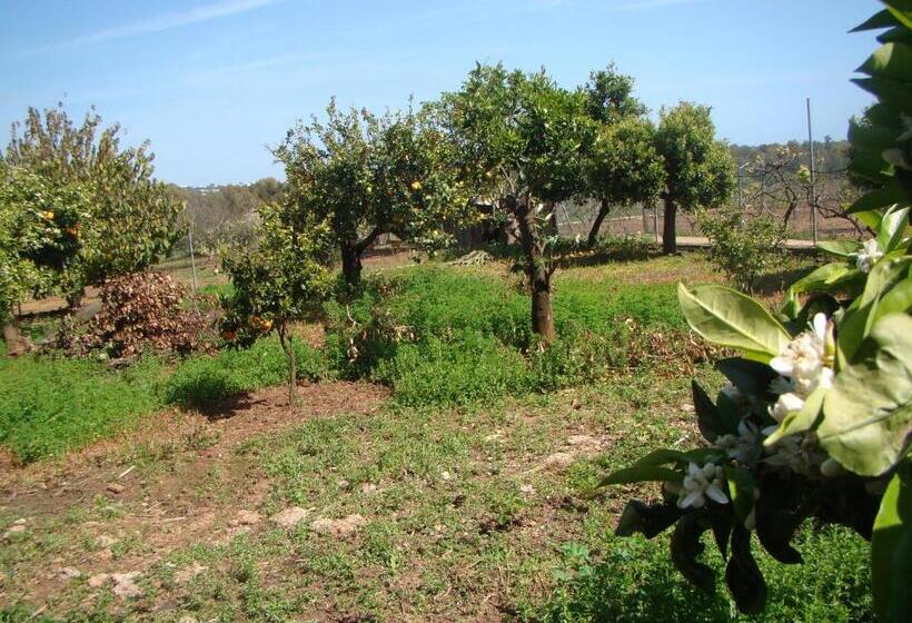 پانسیون Quinta Da Norinha