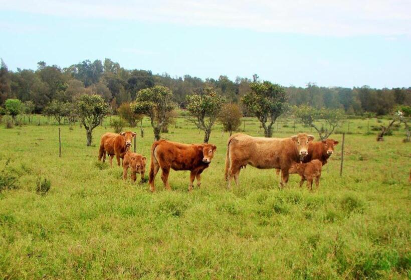 پانسیون Quinta Da Norinha