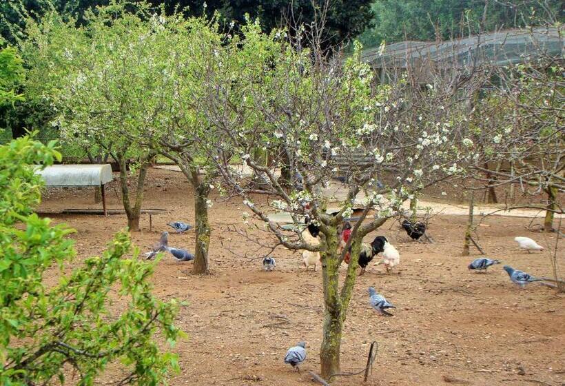 پانسیون Quinta Da Norinha