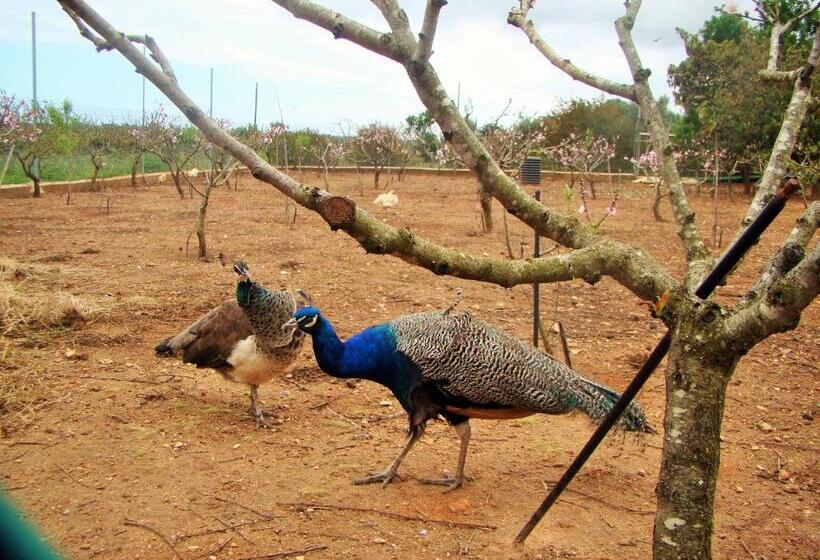 پانسیون Quinta Da Norinha