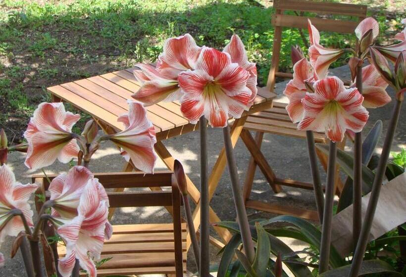 پانسیون Quinta Da Norinha