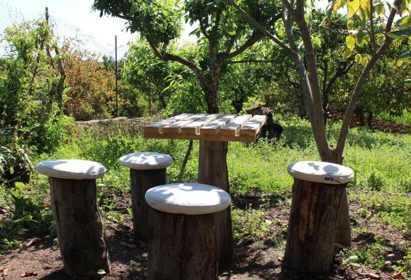 پانسیون Quinta Da Norinha