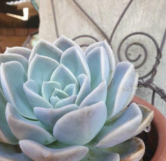 Pension The Yardt Guest House