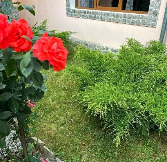 Pensiunea Casa Nina