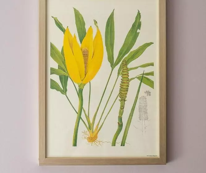 Aamiaismajoitus (B&B) Bistro Lotte