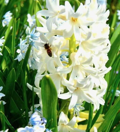 住宿加早餐  Gaestehaus Kiekmolrin