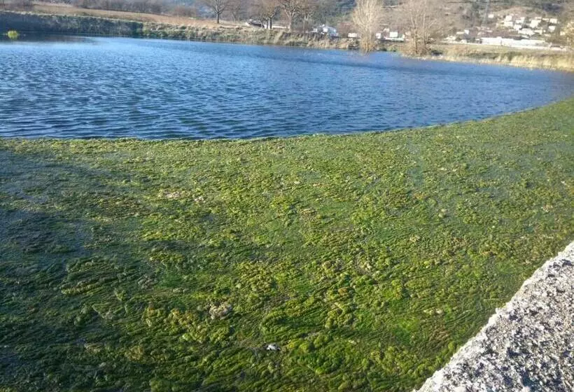 Aamiaismajoitus (B&B) La Grotta Di Nonno Vittorio