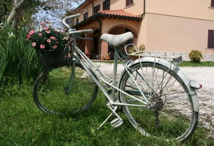 ホテル Agriturismo Diciocco