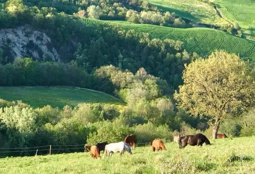 ホテル Agriturismo Le Cannelle Spa & Day Wellness