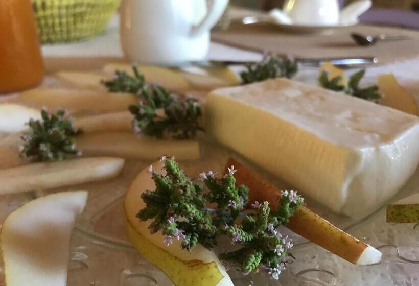 בית מלון כפרי Agriturismo Le Cannelle Spa & Day Wellness