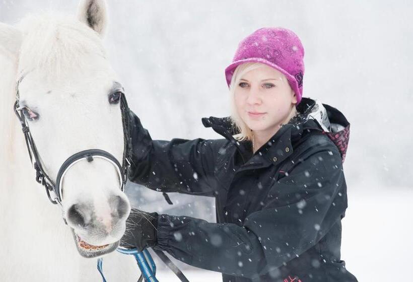 בית מלון כפרי Vordersattlegghofhütte